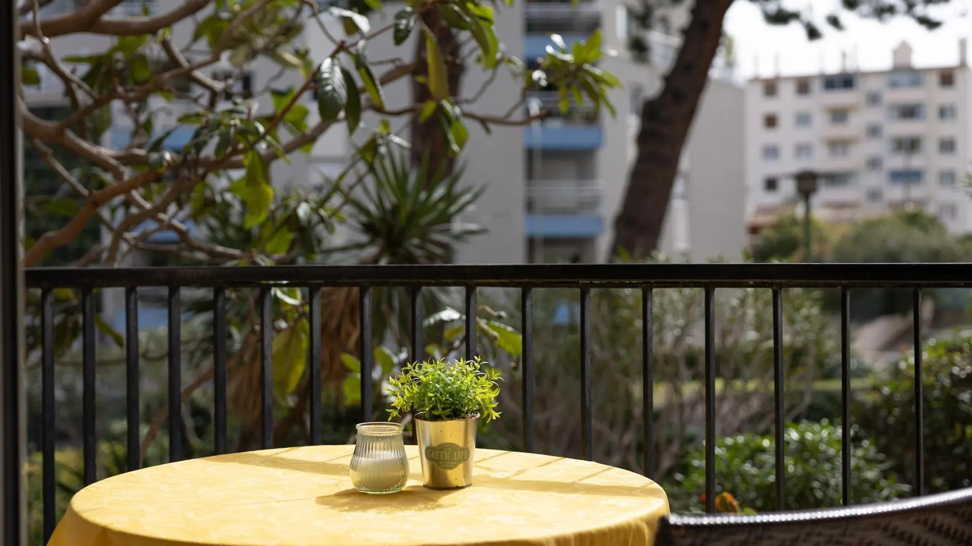 Les Glycines Daire Menton